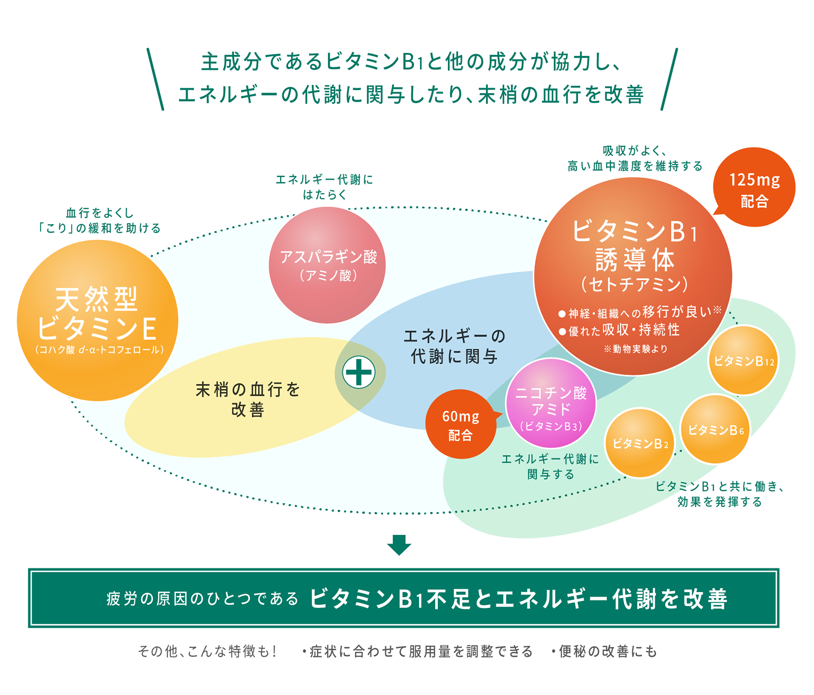 疲労の原因であるビタミンB1不足とエネルギー代謝を改善