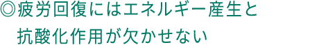 ◎疲労回復にはエネルギー産生と抗酸化作用が欠かせない