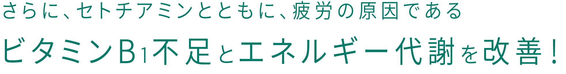 さらに、セトチアミンとともに、疲労の原因であるビタミンB1不足とエネルギー代謝を改善！