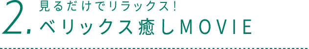 2.見るだけでリラックス！ ベリックス癒しMOVIE