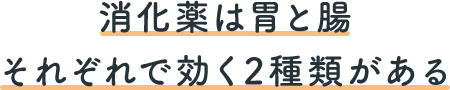 消化薬は胃と腸それぞれで効く2種類がある