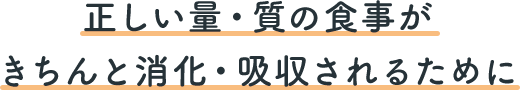 正しい量・質の食事がきちんと消化・吸収されるために