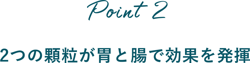 Point2 2つの顆粒が胃と腸で効果を発揮