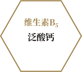 维生素B5 泛酸钙