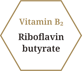 Vitamin B2 Riboflavin butyrate