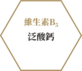 維生素B5 泛酸鈣