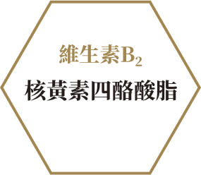 維生素B2 核黃素四酪酸脂