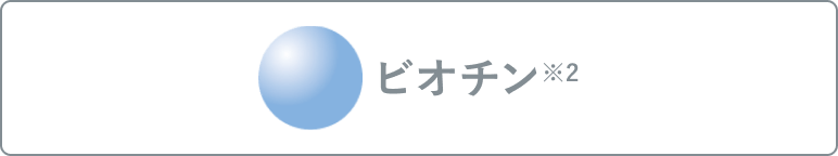ビオチン※2
