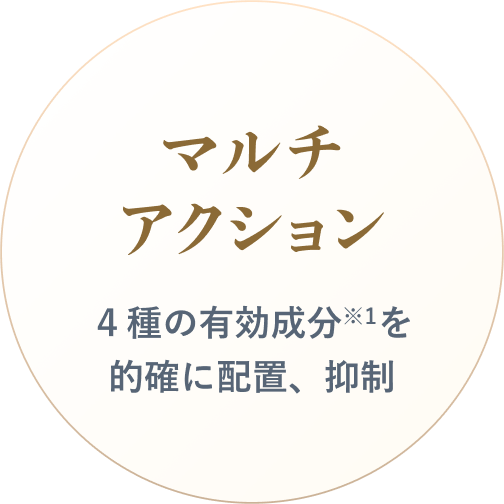 マルチアクション 4種の有効成分※1を的確に配置、抑制