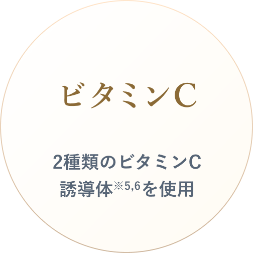 ビタミンC 2種類のビタミンC誘導体※5,6を使用