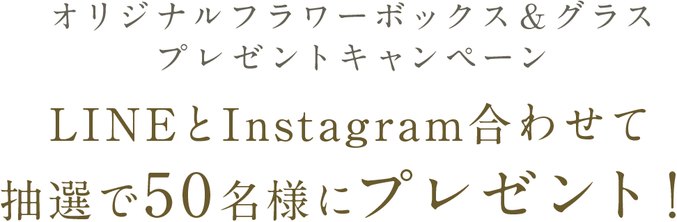 シナール L ホワイト エクシア シオノギヘルスケア