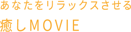 あなたをリラックスさせる癒しMOVIE