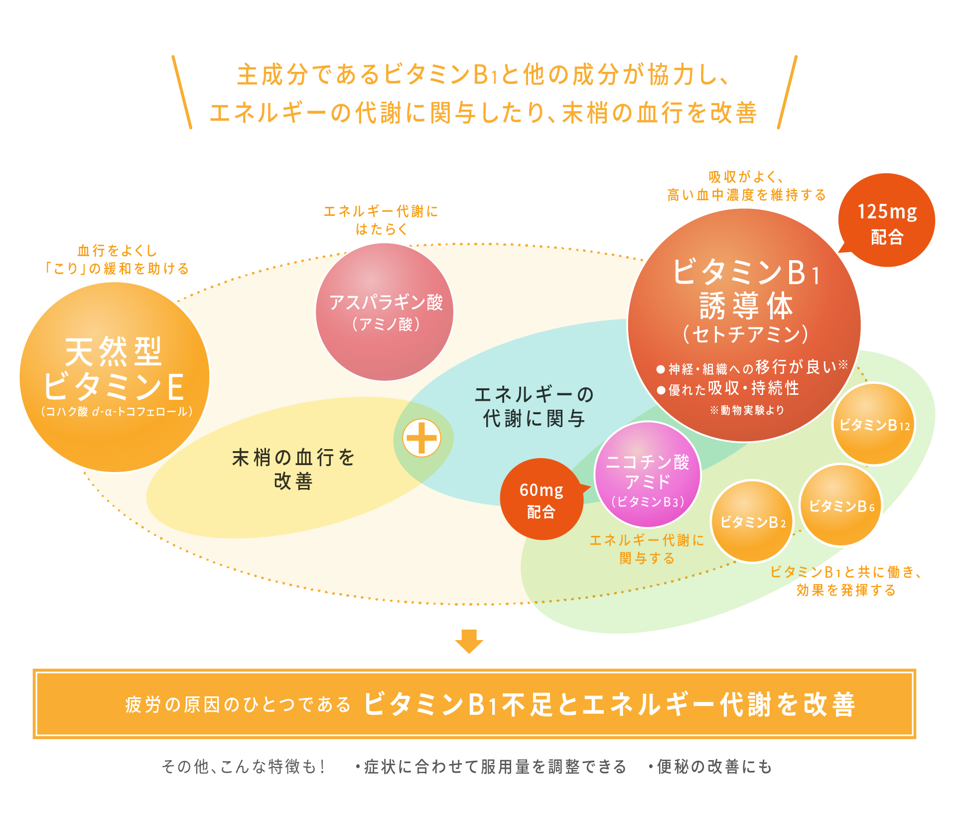 疲労の原因のひとつであるビタミンB1不足とエネルギー代謝を改善