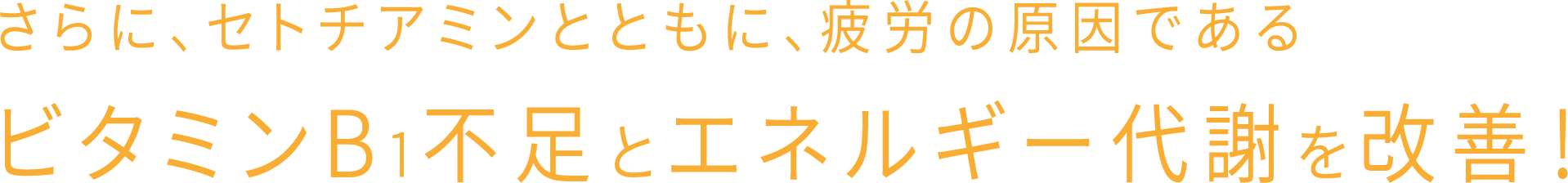 さらに、セトチアミンとともに、疲労の原因であるビタミンB1不足とエネルギー代謝を改善！