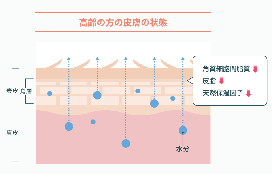 高齢の方の皮膚の状態