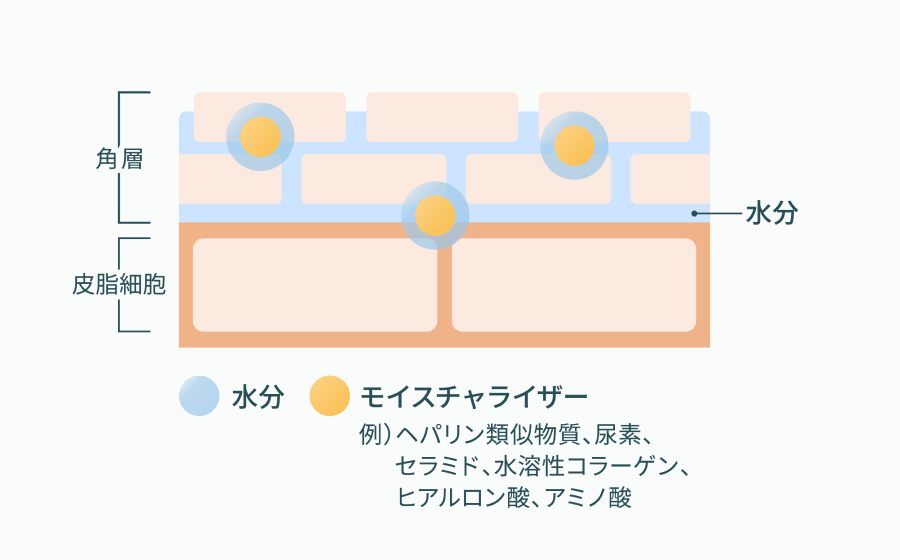 モイスチャライザーイメージ