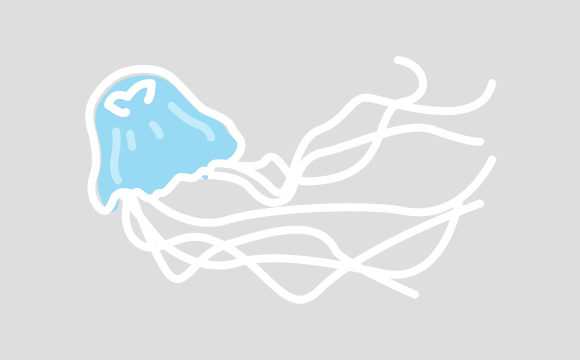ハブクラゲ