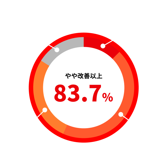 bestemt bud Smadre パイロンPLシリーズ｜シオノギヘルスケア