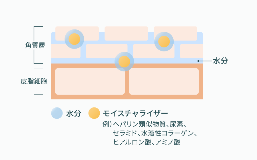 モイスチャライザーイメージ