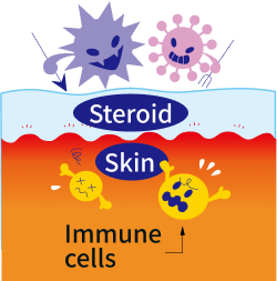Topical steroids have immunosuppressive activity.