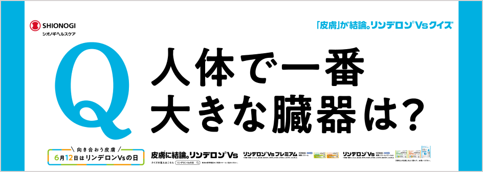 人体で一番大きな臓器は?