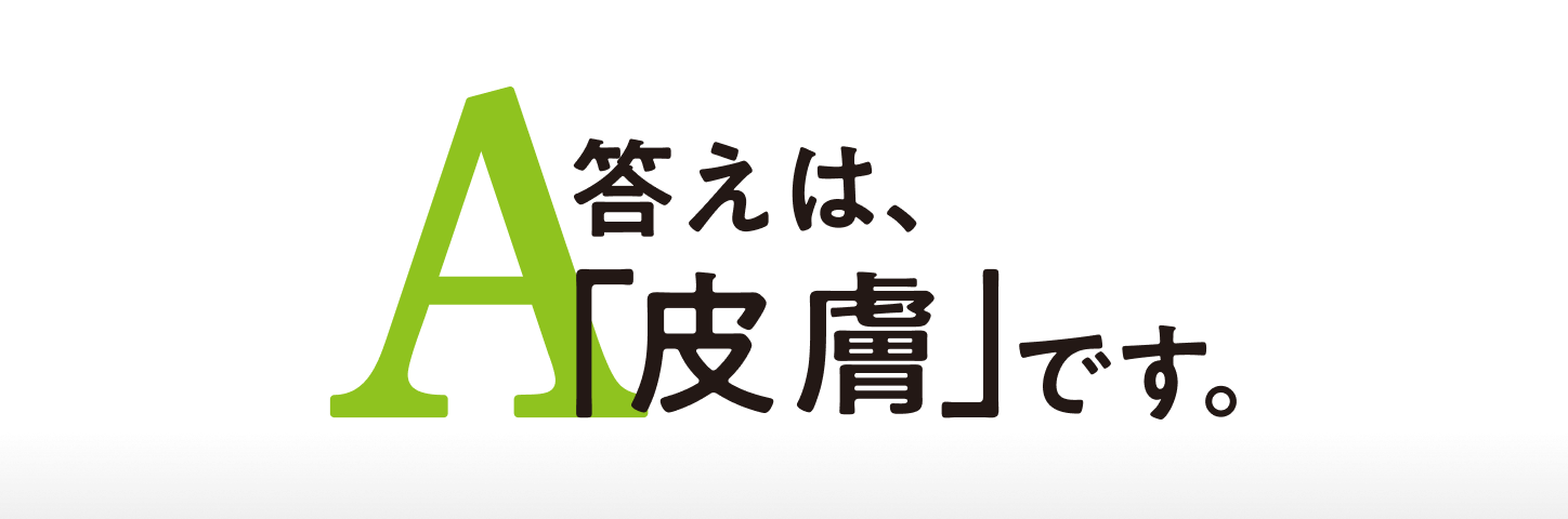 答えは、「皮膚」です。