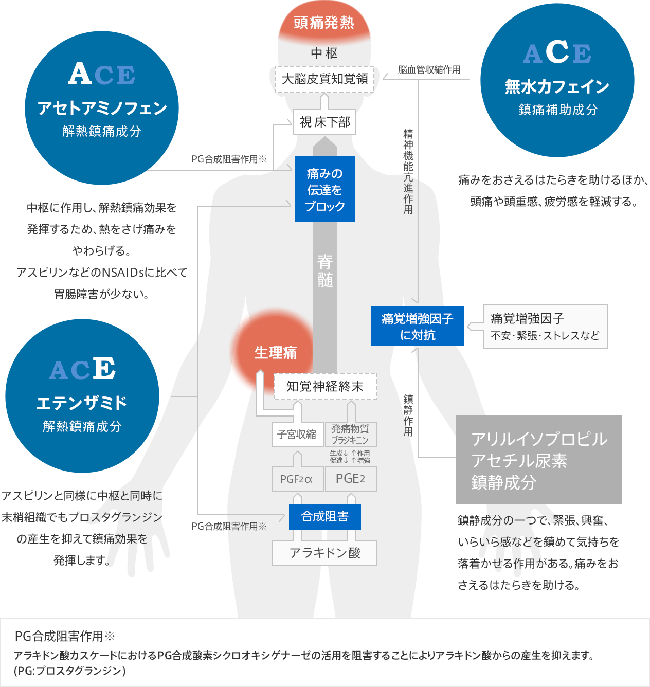 イブプロフェン カロナール