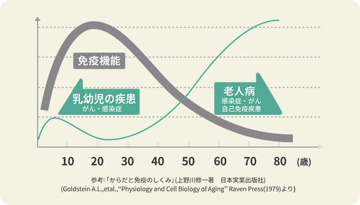 免疫力は20代をピークに低下してしまいます