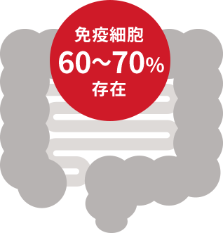 免疫細胞60～70%存在