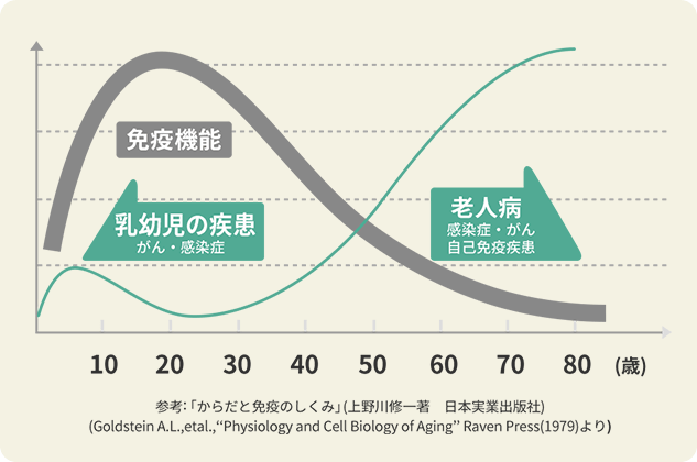 免疫力は20代をピークに低下してしまいます